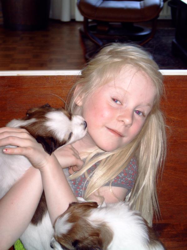 Puppies